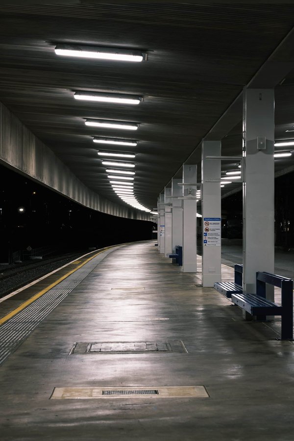 Comment les festivals de cinéma peuvent-ils utiliser les plateformes numériques pour atteindre un public international ?